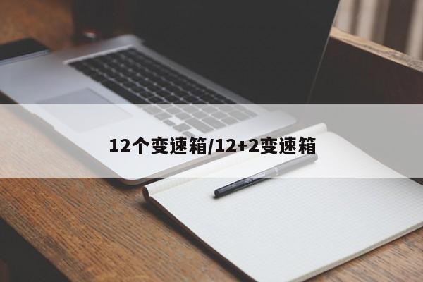 12个变速箱/12+2变速箱