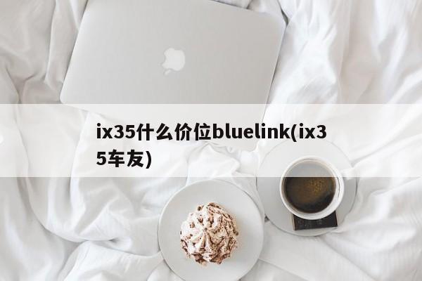 ix35什么价位bluelink(ix35车友)