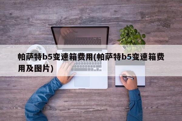 帕萨特b5变速箱费用(帕萨特b5变速箱费用及图片)