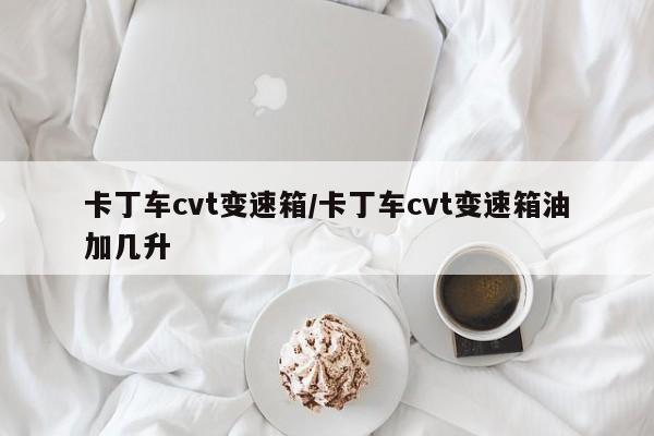 卡丁车cvt变速箱/卡丁车cvt变速箱油加几升