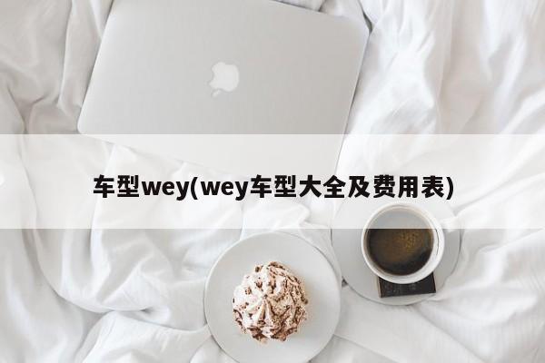 车型wey(wey车型大全及费用表)