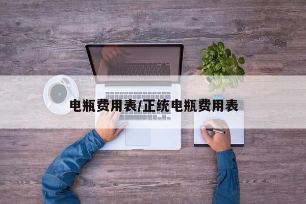 电瓶费用表/正统电瓶费用表