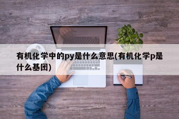 有机化学中的py是什么意思(有机化学p是什么基团)