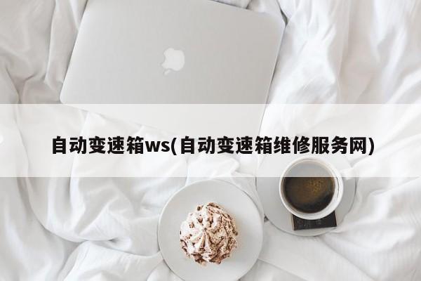 自动变速箱ws(自动变速箱维修服务网)