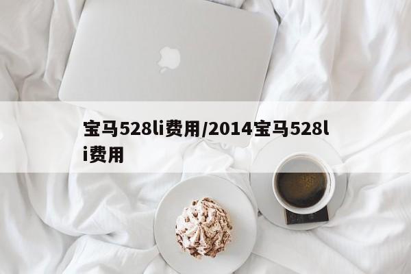 宝马528li费用/2014宝马528li费用