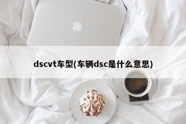 dscvt车型(车辆dsc是什么意思)