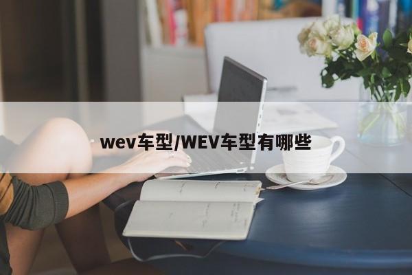 wev车型/WEV车型有哪些