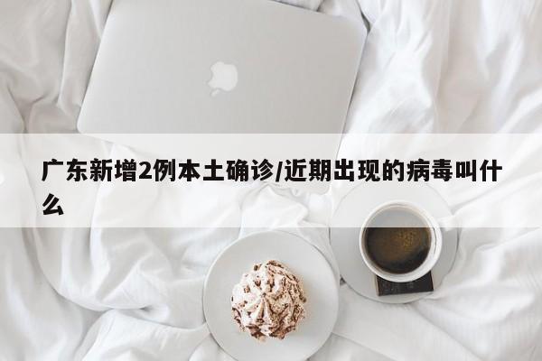 广东新增2例本土确诊/近期出现的病毒叫什么