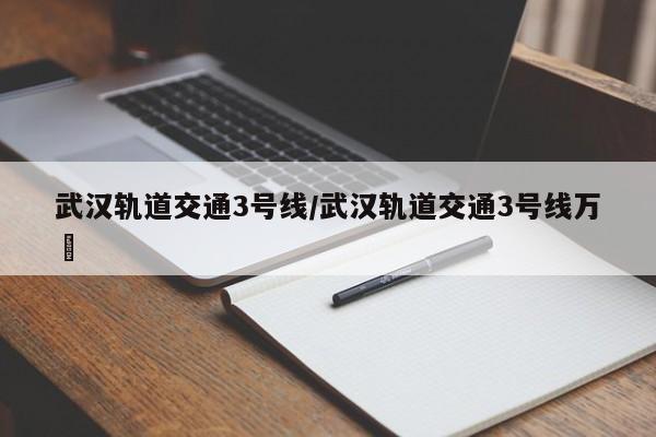 武汉轨道交通3号线/武汉轨道交通3号线万彊