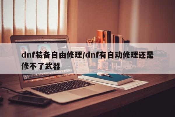 dnf装备自由修理/dnf有自动修理还是修不了武器