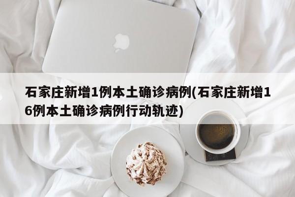 石家庄新增1例本土确诊病例(石家庄新增16例本土确诊病例行动轨迹)
