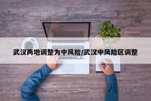 武汉两地调整为中风险/武汉中风险区调整