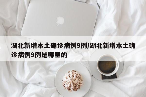 湖北新增本土确诊病例9例/湖北新增本土确诊病例9例是哪里的