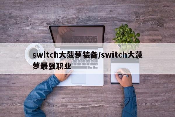 switch大菠萝装备/switch大菠萝最强职业
