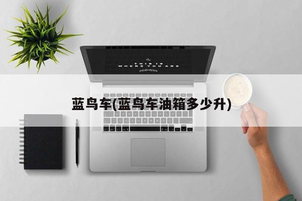 蓝鸟车(蓝鸟车油箱多少升)