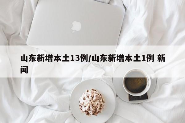 山东新增本土13例/山东新增本土1例 新闻
