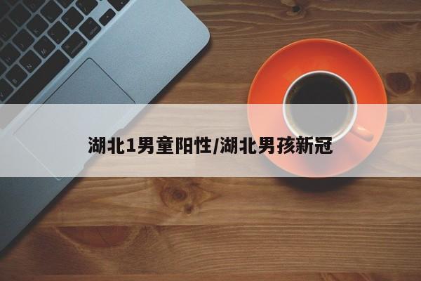 湖北1男童阳性/湖北男孩新冠