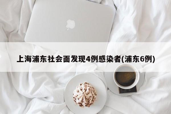 上海浦东社会面发现4例感染者(浦东6例)