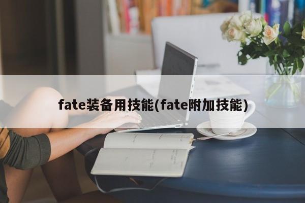 fate装备用技能(fate附加技能)