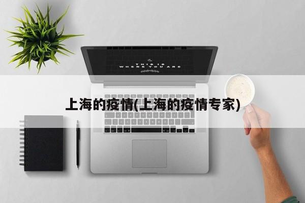 上海的疫情(上海的疫情专家)